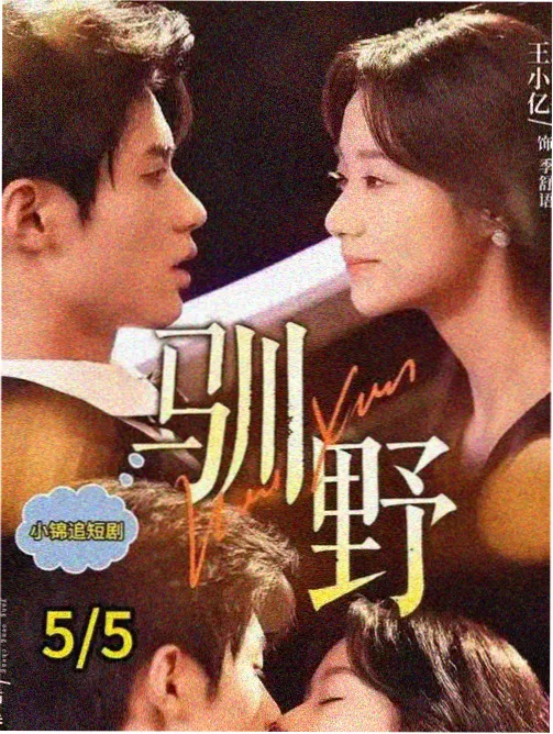 思雨电影网资讯配图,剧集条目按集索引说明